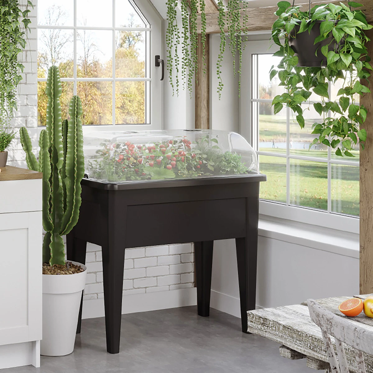 Venezia Grow Box 80cm 2 Venezia Grow Box 80cm - Billede 2