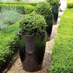 Mirror Tall Egg Pot -Kent &amp Stowe butik b9123698 back 1200Wx1200H