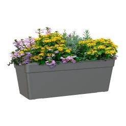 Madagascar Window Box Anthracite