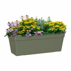 Madagascar Window Box Green -Kent &amp Stowe butik b9124822 leftback 1200Wx1200H