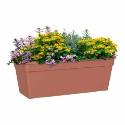 Madagascar Window Box Terracotta